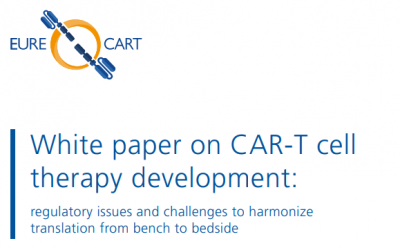 White Paper on CAR-T cell therapy development