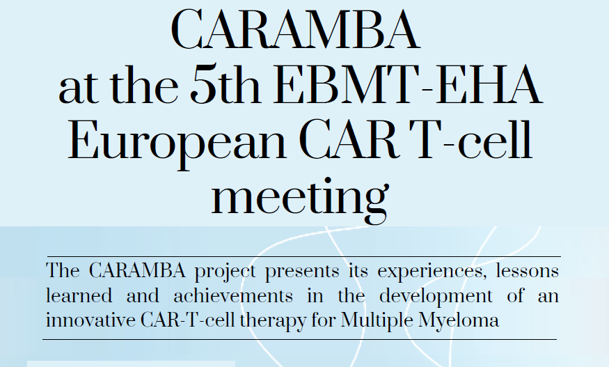 CARAMBA Meeting Report
